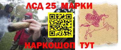 гидропоника Дубна