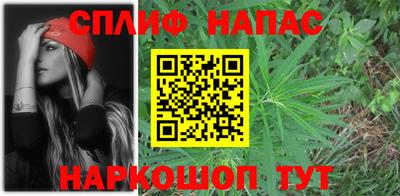 гидропоника Дубна