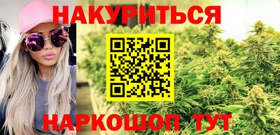 гидропоника Дубна