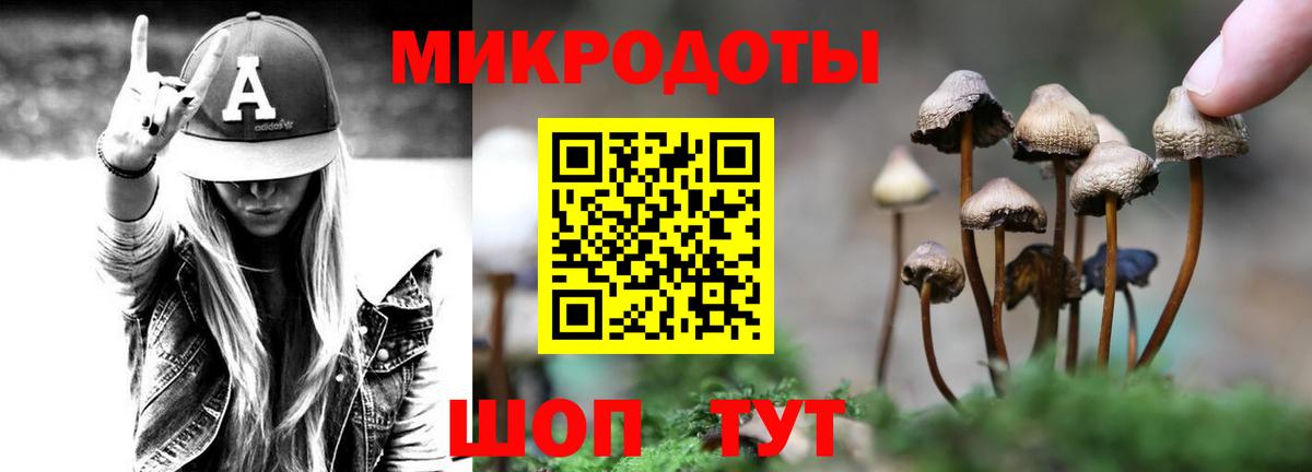 Галлюциногенные грибы Psilocybine cubensis Камышин
